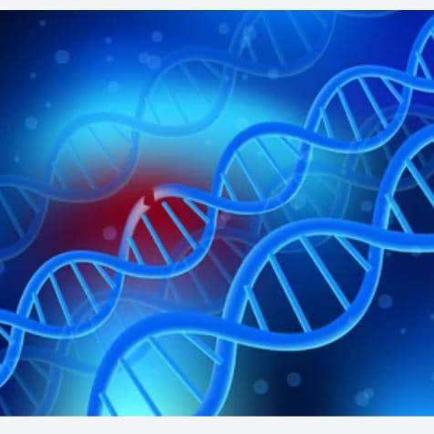 Webinar on Malaria Genomics and Quality Assurance in Malawi.